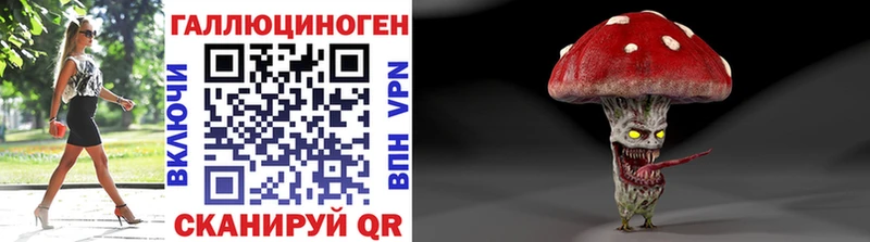 Купить где  Коркино  Галлюциногенные грибы GOLDEN TEACHER 